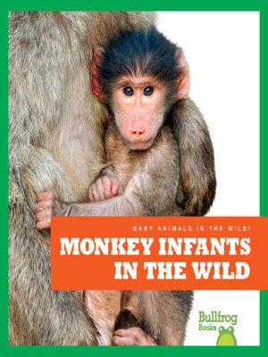 cover image of Monkey Infants in the Wild